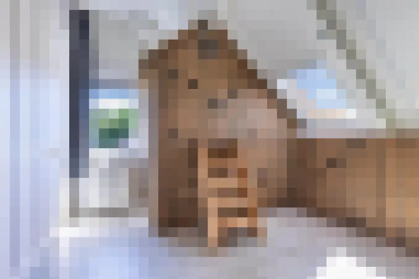 Kooiwiel 8 Bant thumbnail 41