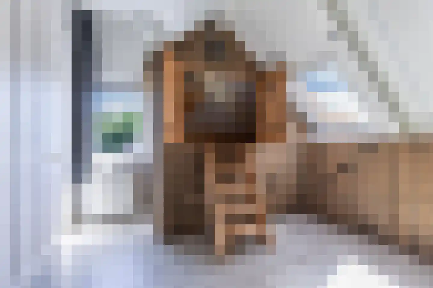 Kooiwiel 8 Bant thumbnail 42