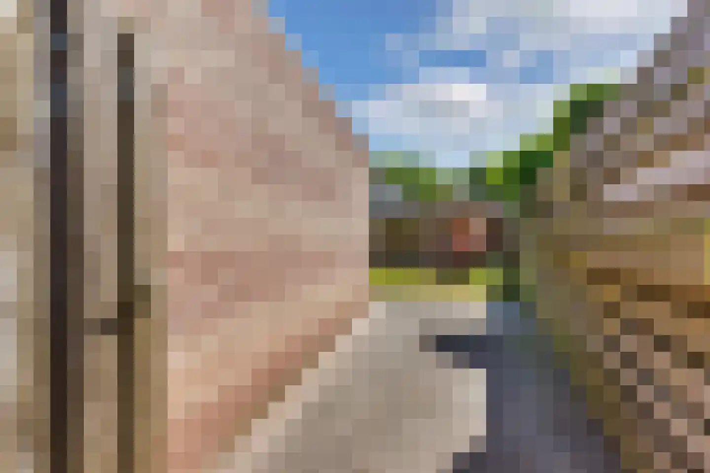 Kooiwiel 8 Bant thumbnail 43