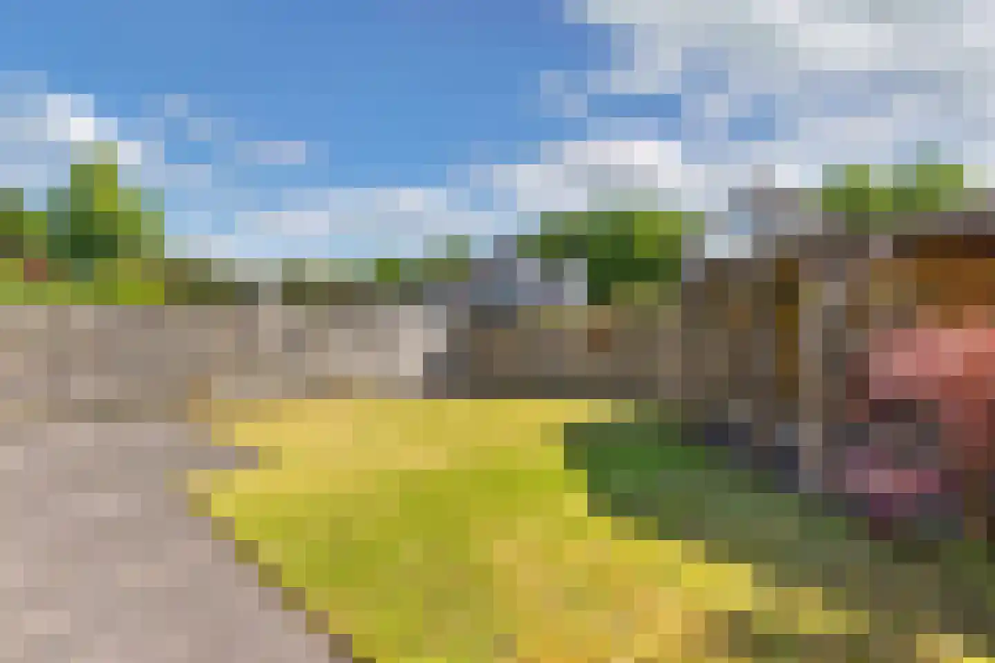 Kooiwiel 8 Bant thumbnail 44