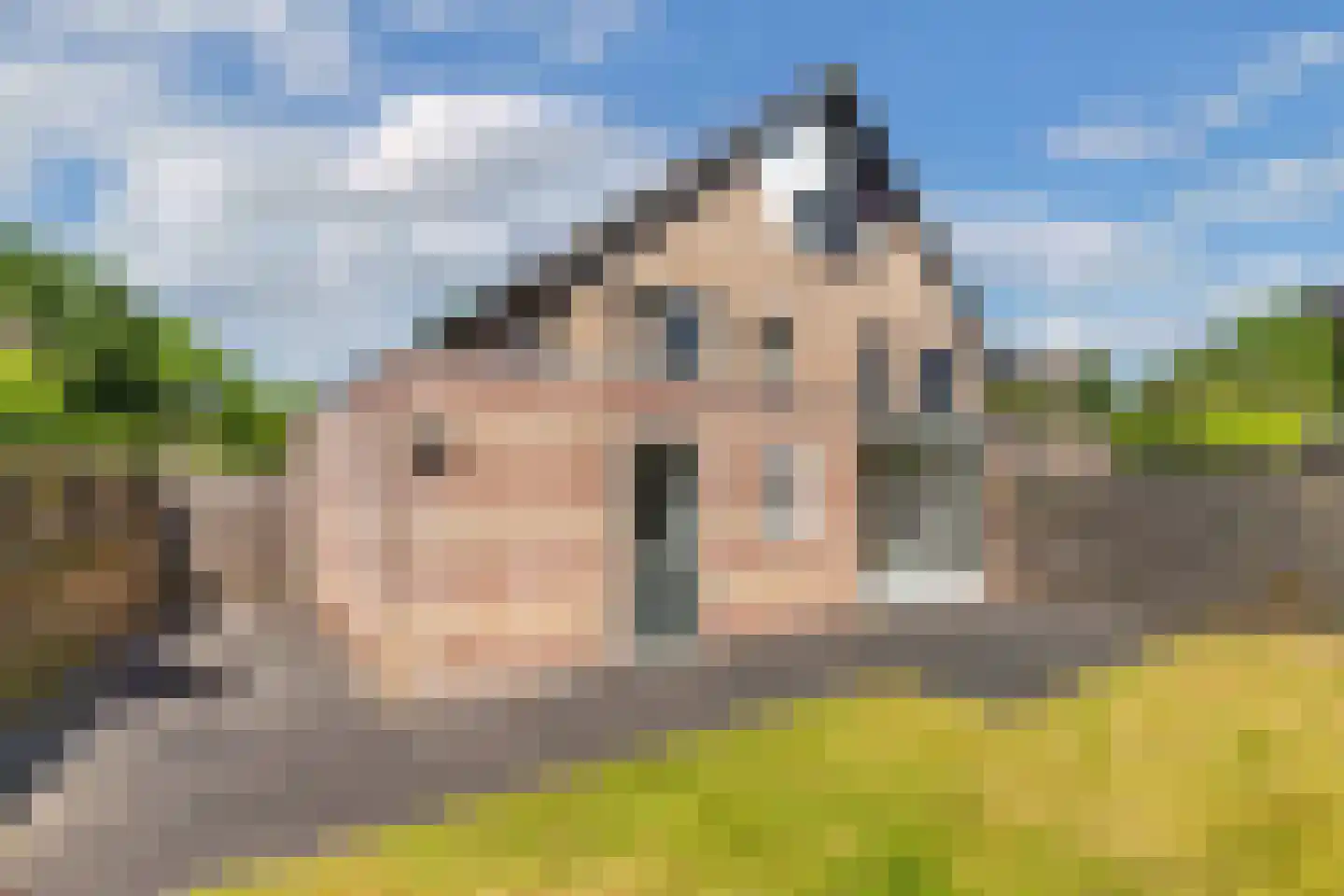 Kooiwiel 8 Bant thumbnail 45