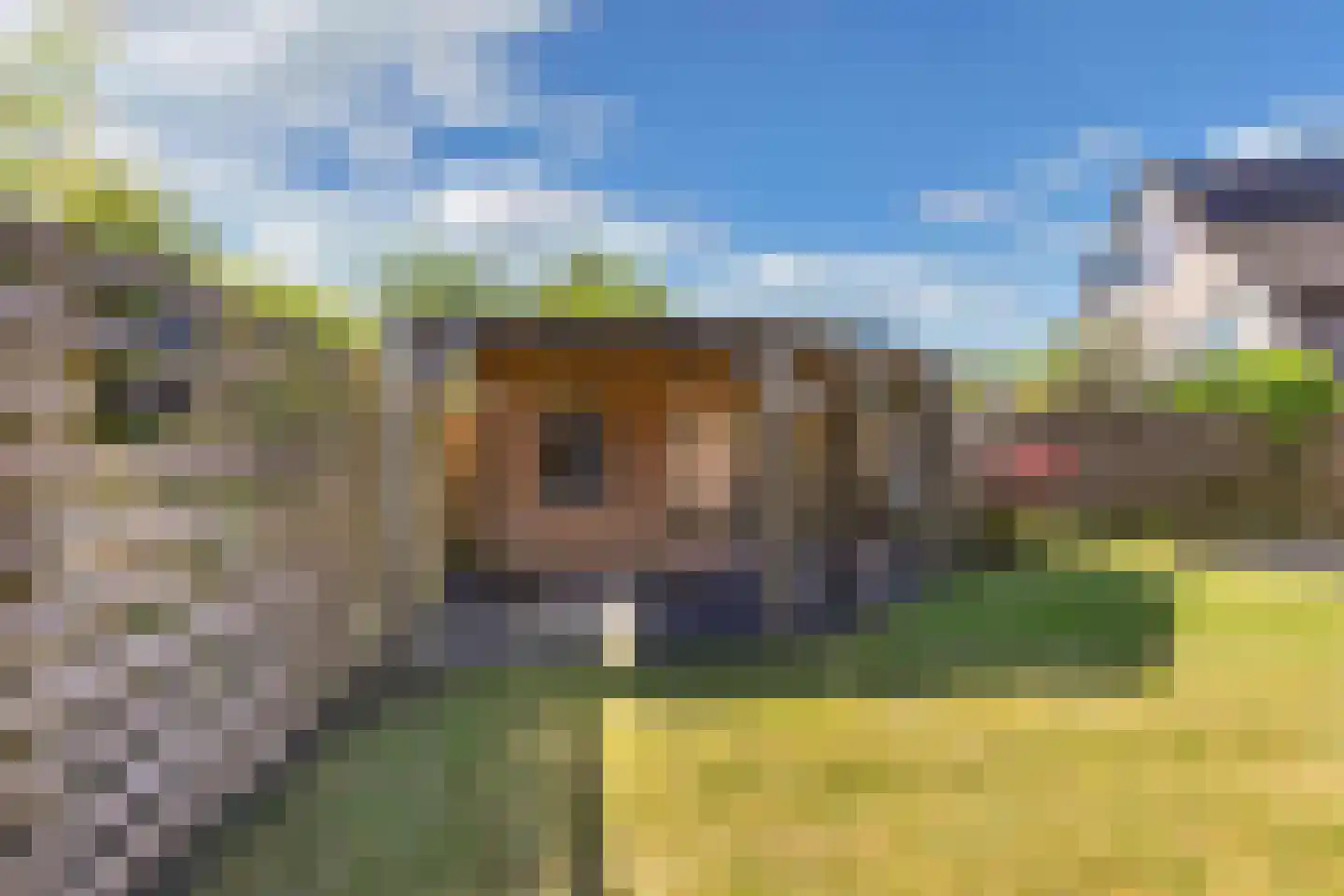 Kooiwiel 8 Bant thumbnail 46