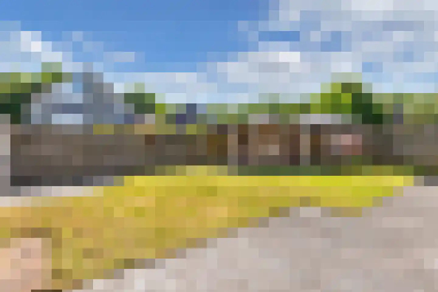 Kooiwiel 8 Bant thumbnail 47