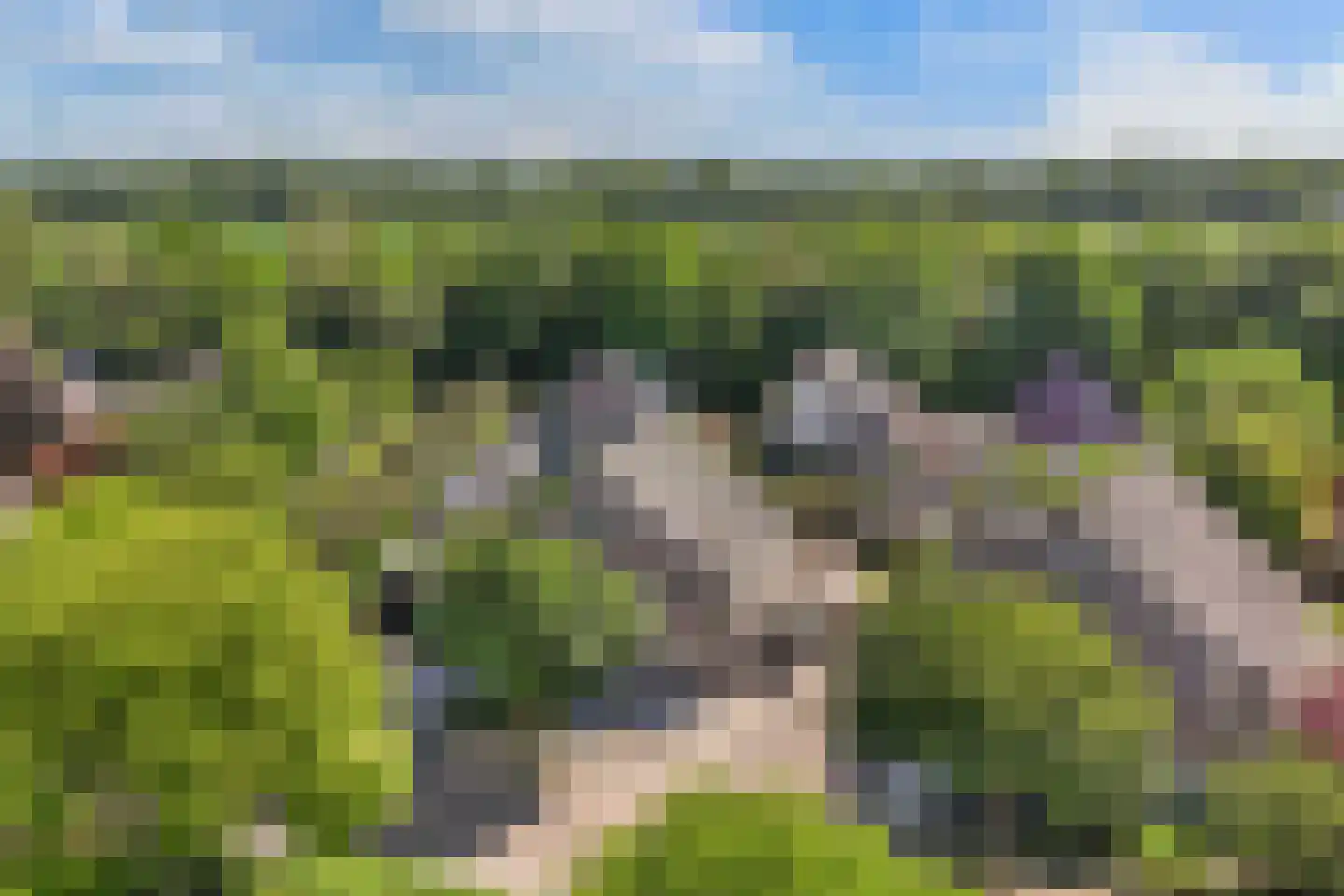 Kooiwiel 8 Bant thumbnail 53