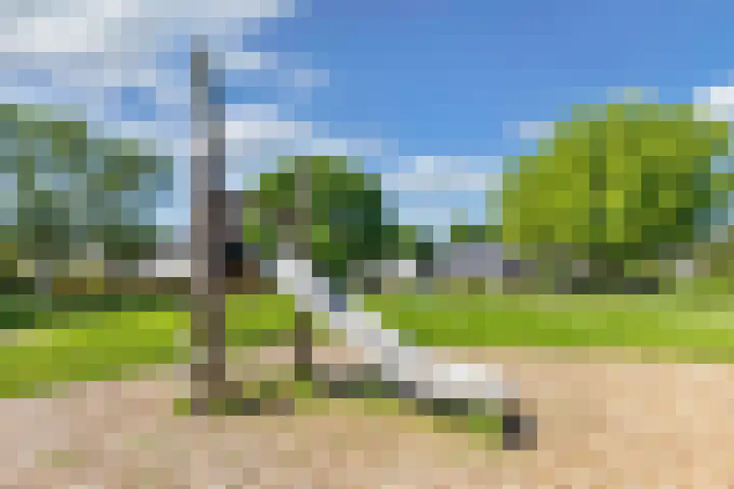 Kooiwiel 8 Bant thumbnail 54