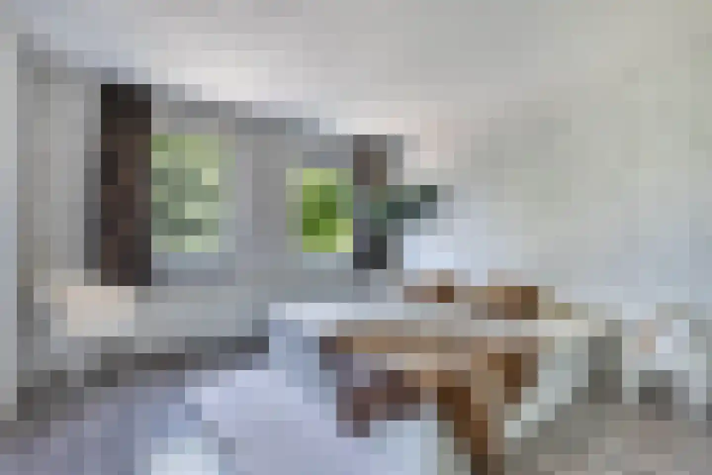 Kooiwiel 8 Bant thumbnail 5