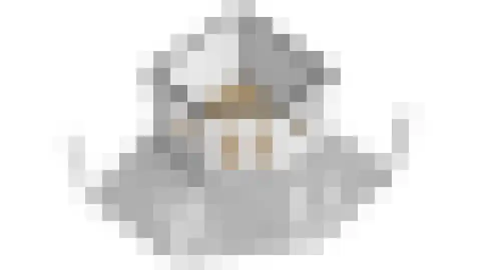 Kooiwiel 8 Bant thumbnail 61