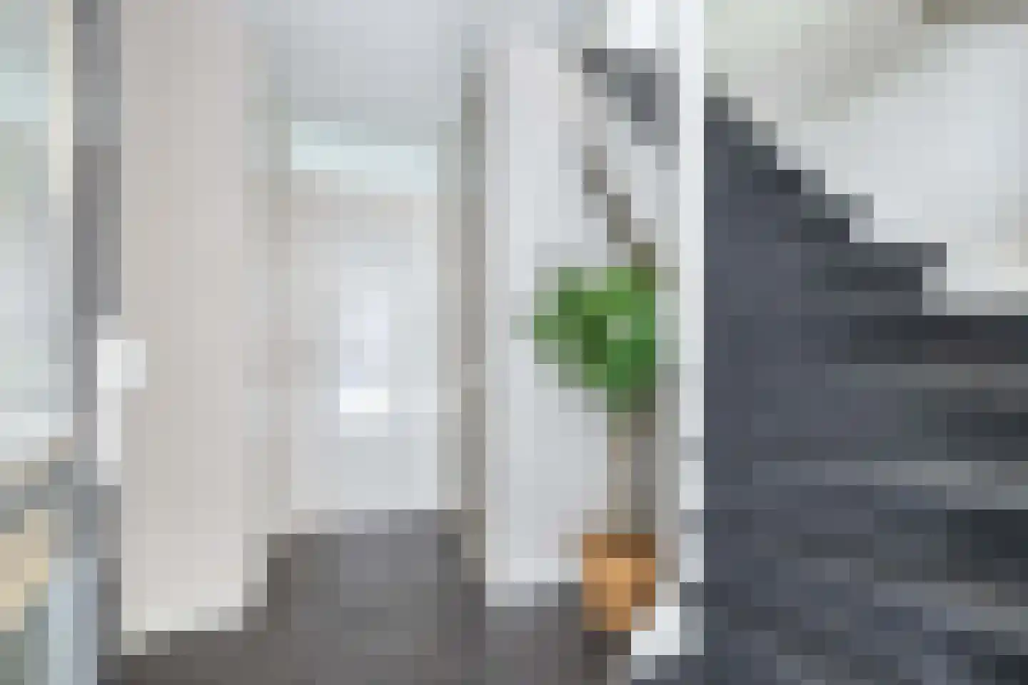 Kooiwiel 8 Bant thumbnail 8