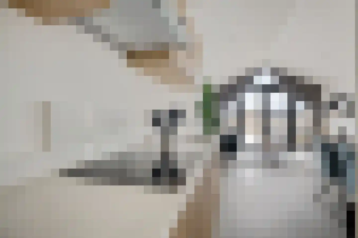 Kooizandweg 6 444 Enkhuizen foto 3