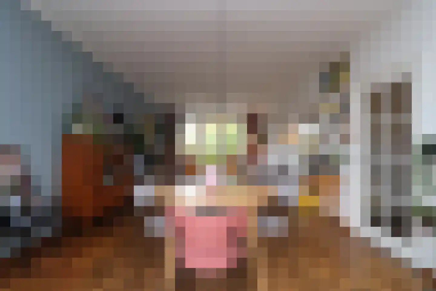 Kookstraat 21 Meerssen thumbnail 10