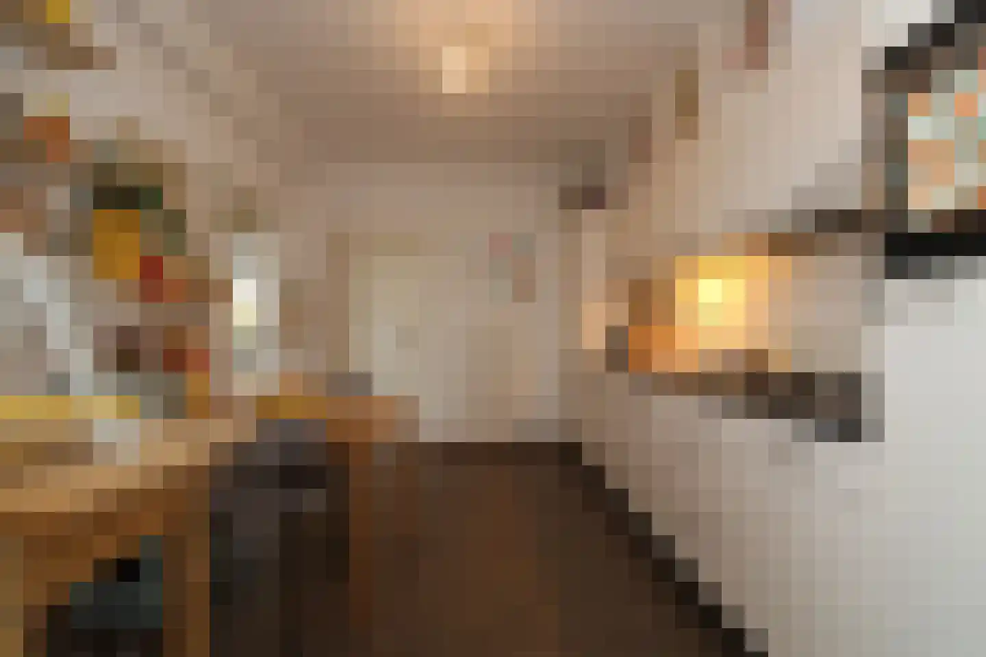 Kookstraat 21 Meerssen thumbnail 14