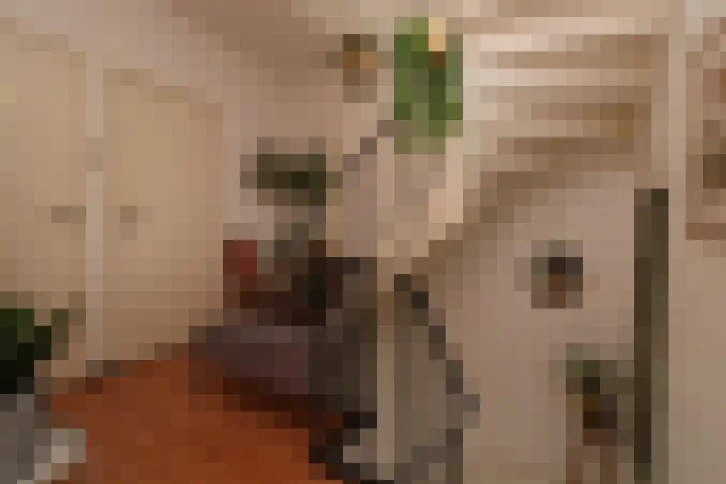 Kookstraat 21 Meerssen thumbnail 20