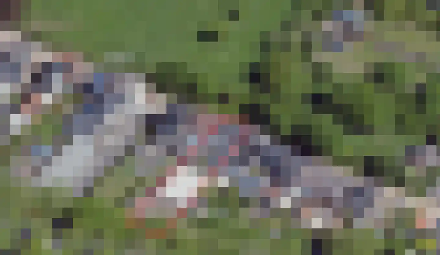 Kookstraat 21 Meerssen thumbnail 6