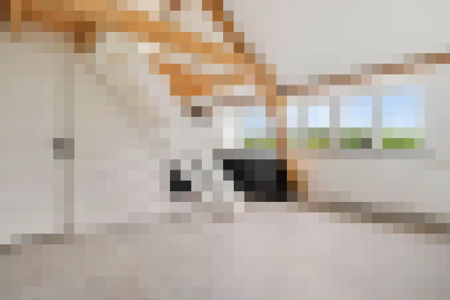 Kookstraat 29 b Meerssen thumbnail 5