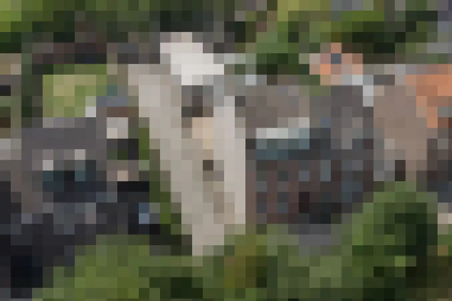 Kookstraat 29 Meerssen thumbnail 21