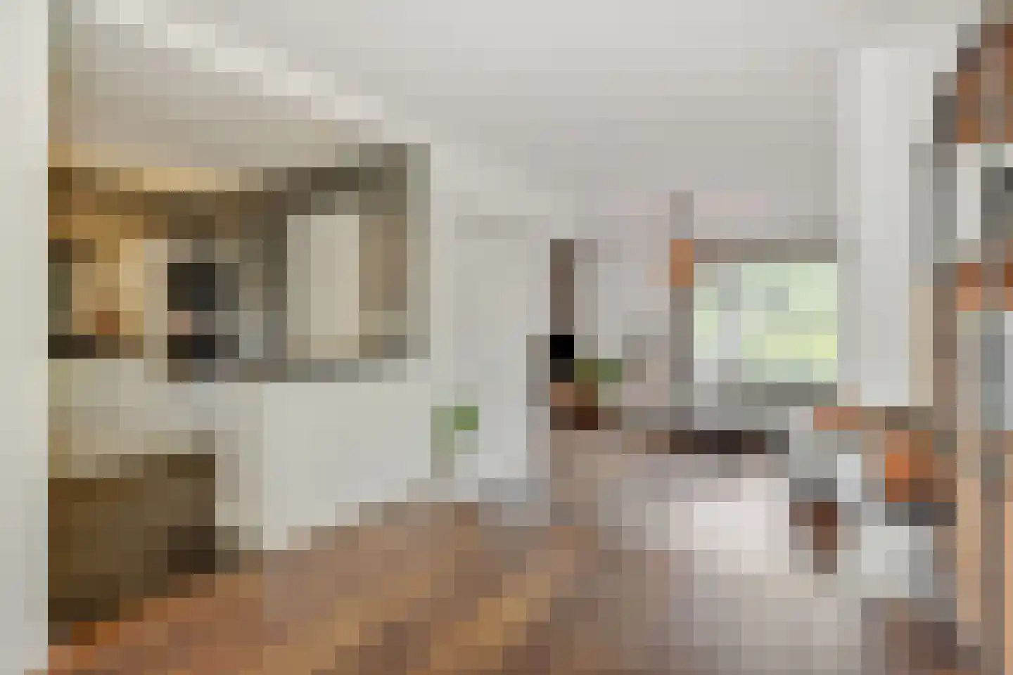 Koolakker 1 Helmond thumbnail 18