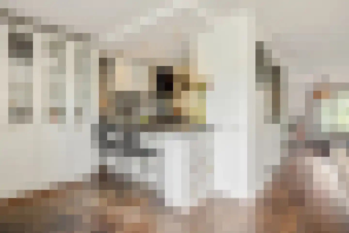 Koolakker 1 Helmond thumbnail 20