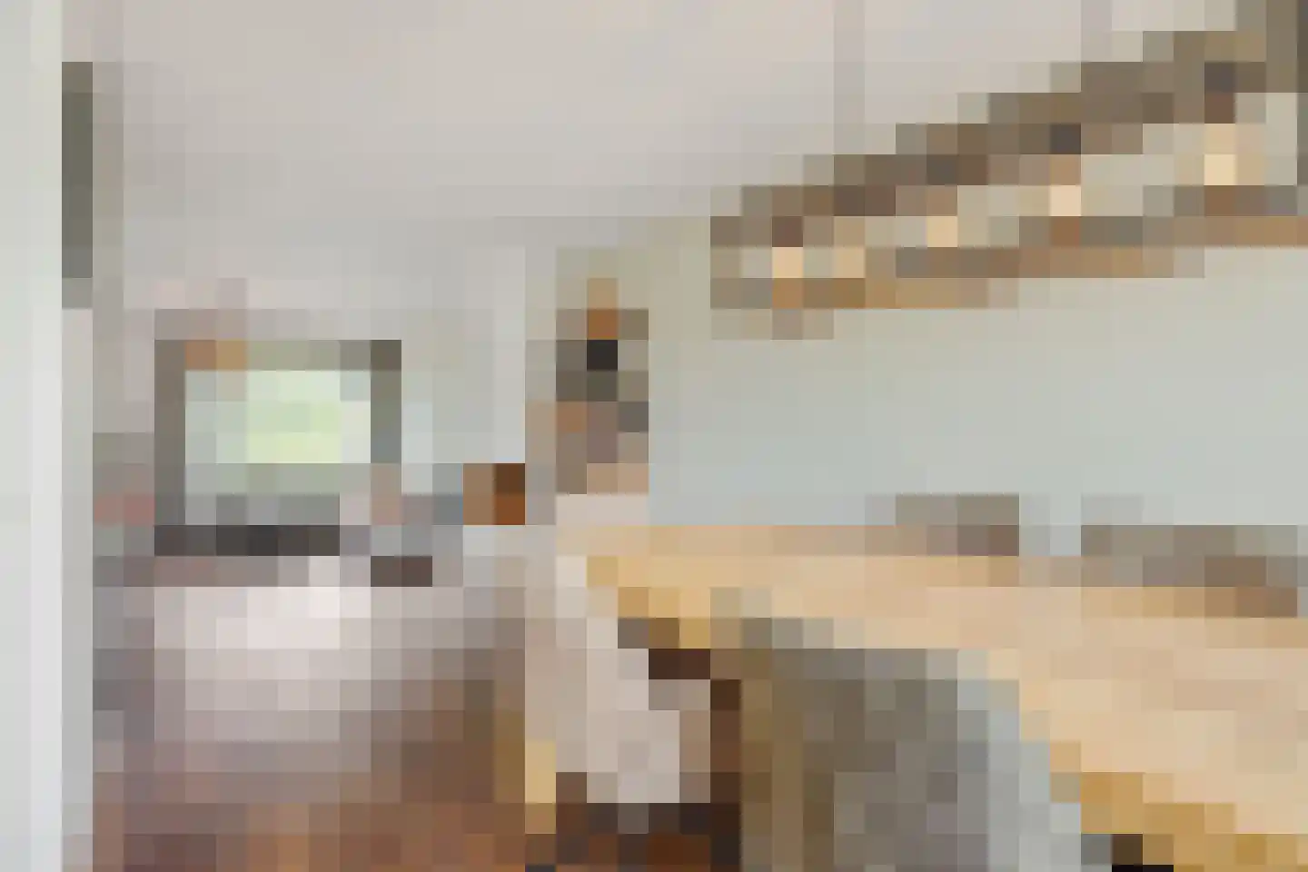 Koolakker 1 Helmond thumbnail 21