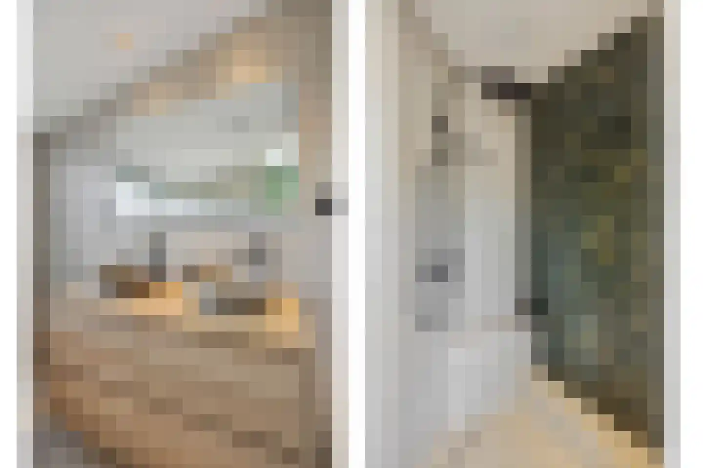 Koolakker 1 Helmond thumbnail 28