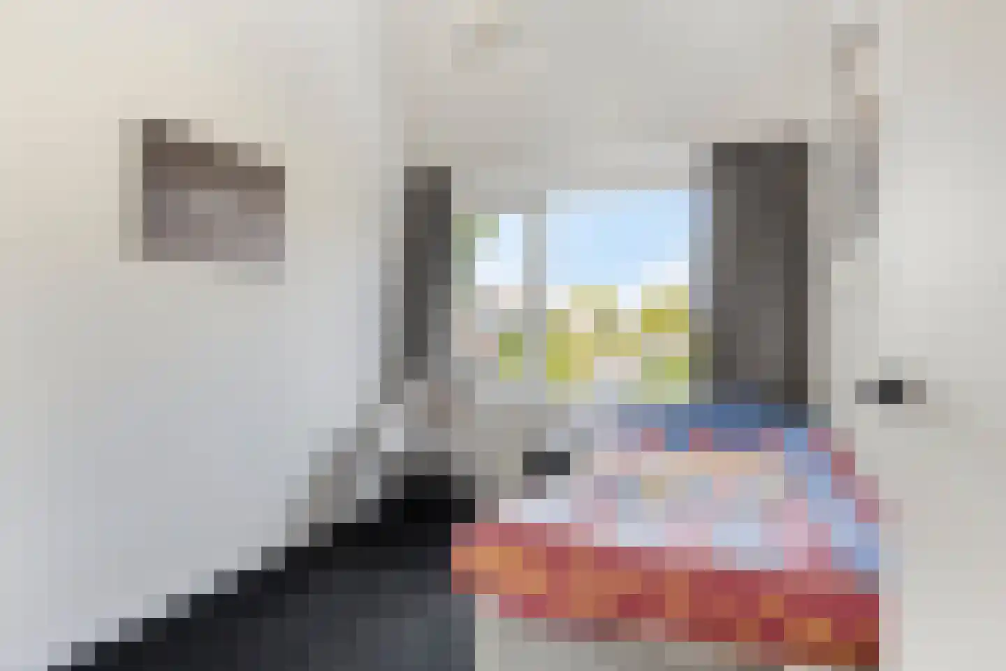 Koolakker 19 Helmond thumbnail 23