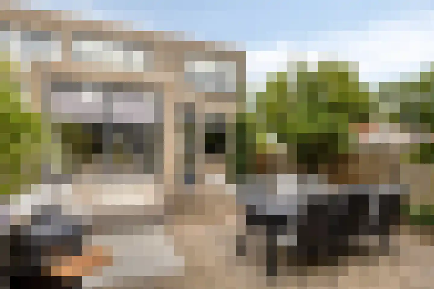 Koolakker 19 Helmond thumbnail 29