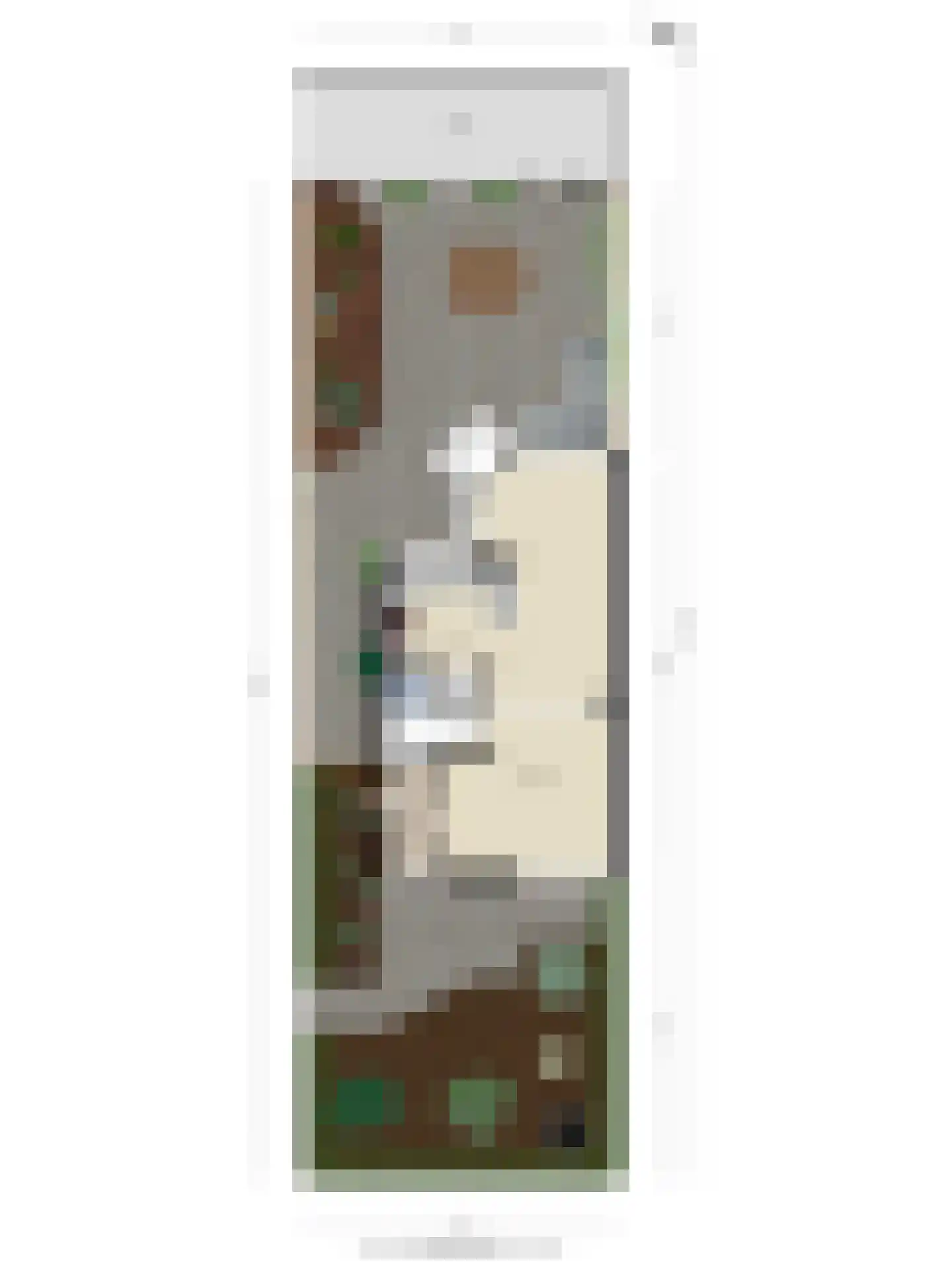 Koolakker 19 Helmond thumbnail 37