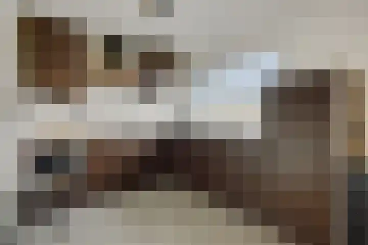 Koolakker 31 Helmond thumbnail 14
