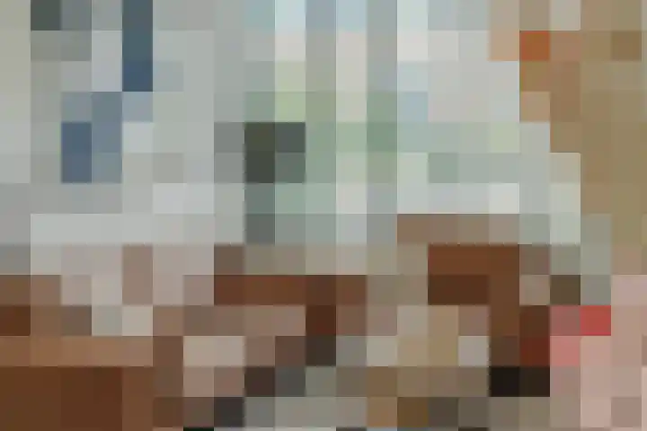 Koolakker 31 Helmond thumbnail 16