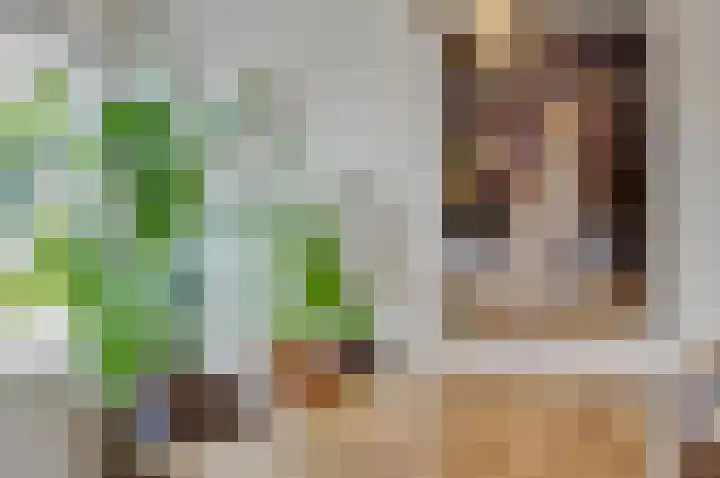 Koolakker 31 Helmond thumbnail 17