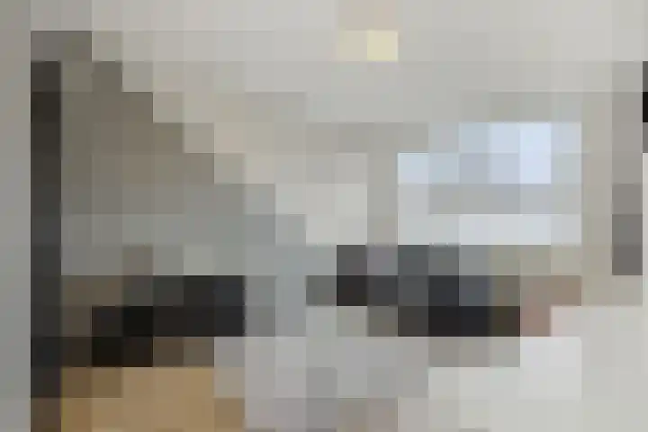 Koolakker 31 Helmond thumbnail 19