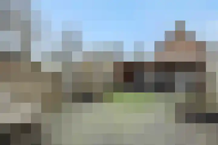 Koolakker 31 Helmond thumbnail 28