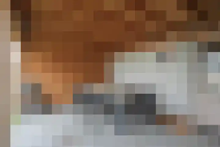 Koolakker 31 Helmond thumbnail 30