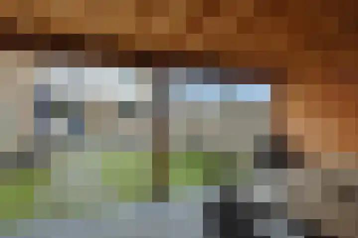 Koolakker 31 Helmond thumbnail 33