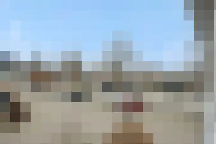 Koolakker 31 Helmond thumbnail 37