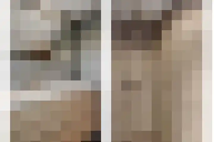 Koolakker 31 Helmond thumbnail 4