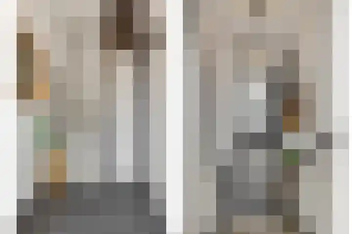 Koolakker 31 Helmond thumbnail 6