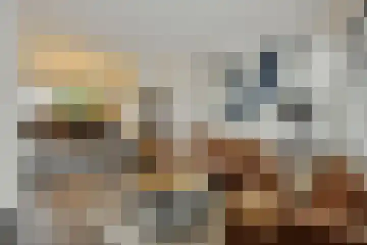 Koolakker 31 Helmond thumbnail 7