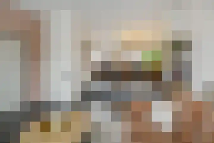 Koolakker 31 Helmond thumbnail 9