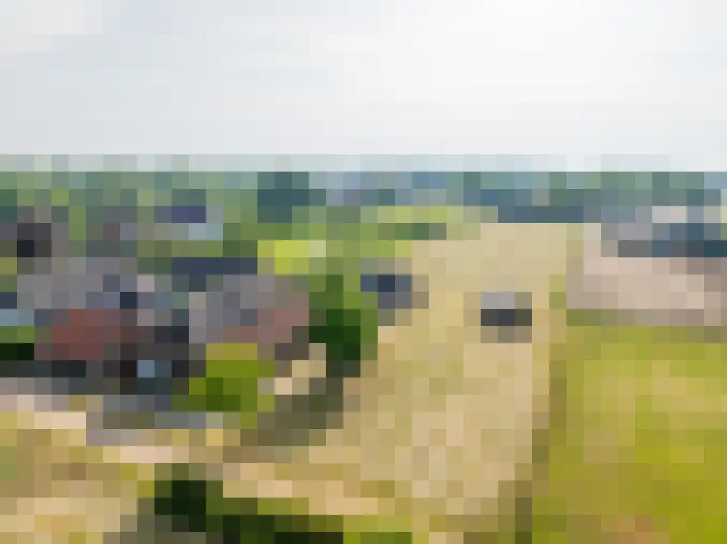 Koolbergseweg 1 Wijchen thumbnail 22