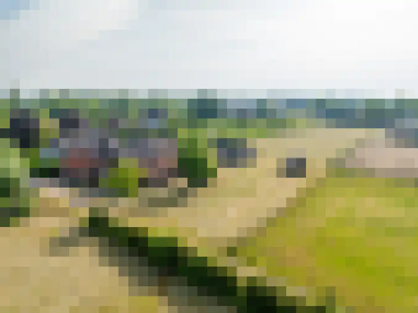 Koolbergseweg 1 Wijchen thumbnail 24