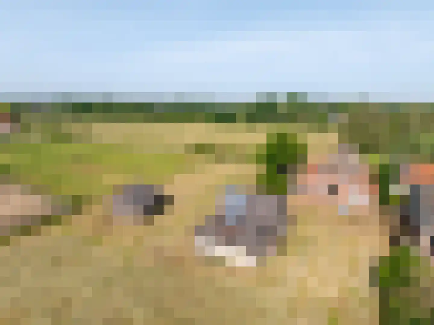 Koolbergseweg 1 Wijchen thumbnail 30