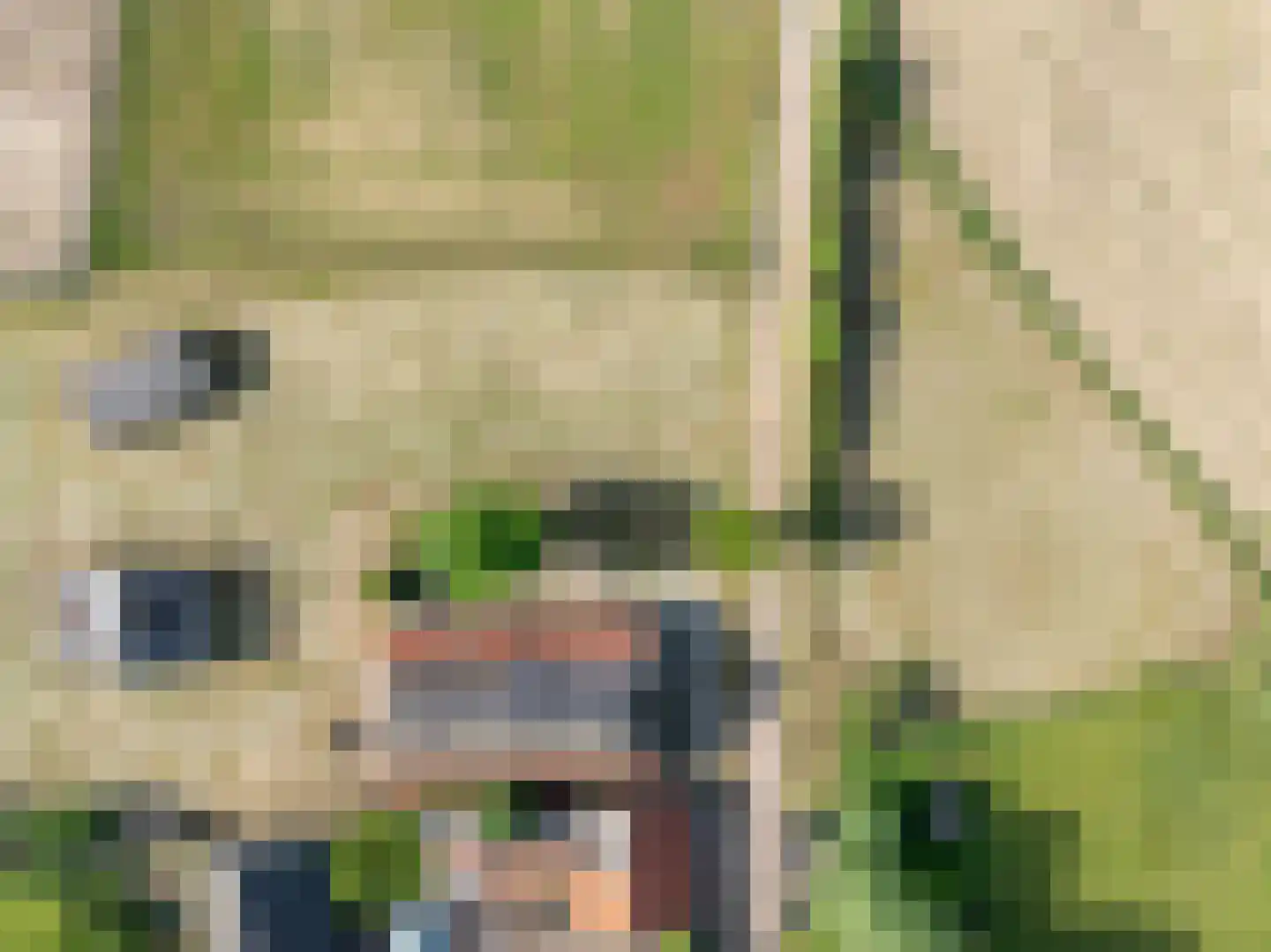 Koolbergseweg 1 Wijchen thumbnail 33