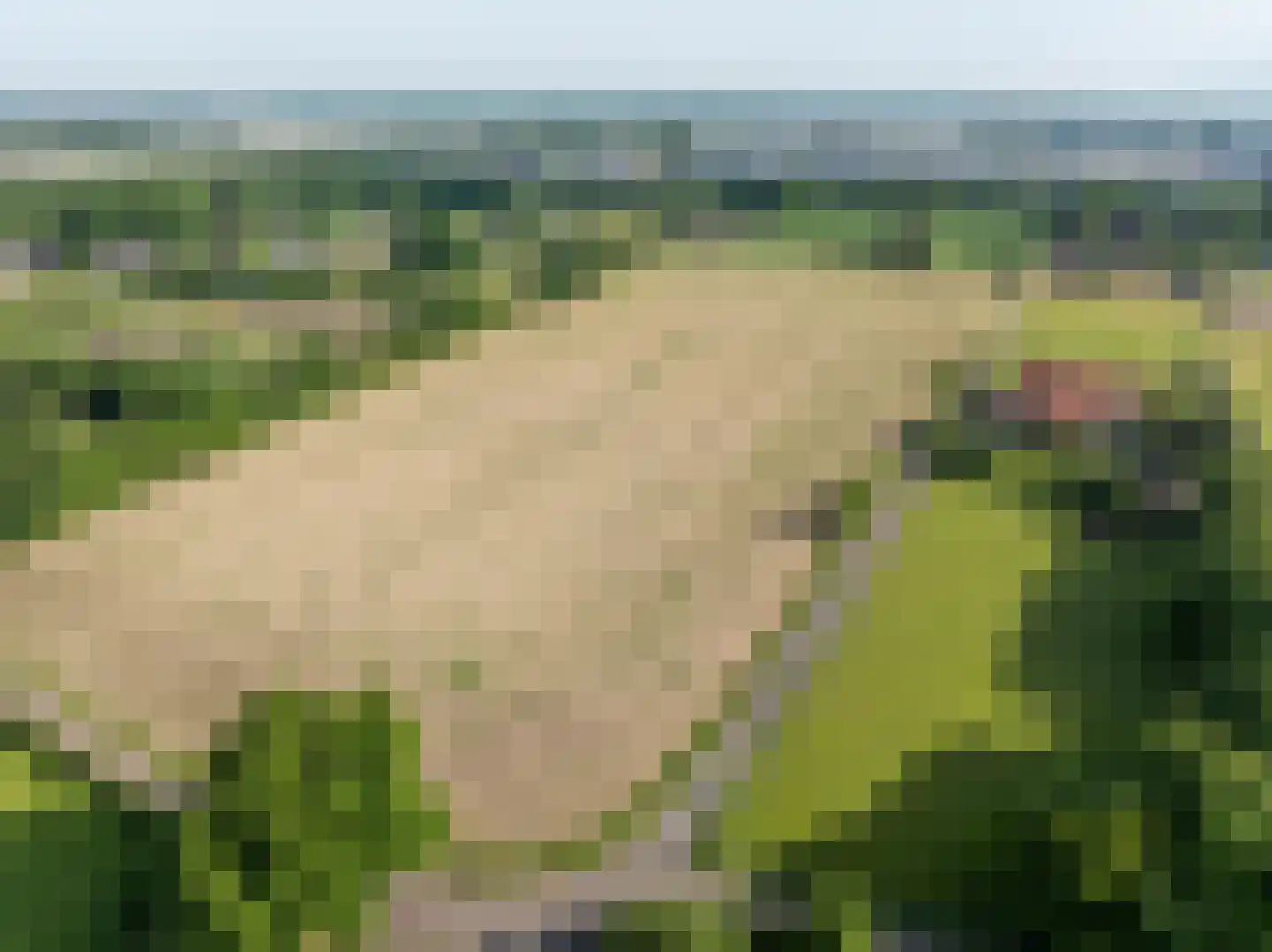 Koolbergseweg 1 Wijchen thumbnail 34