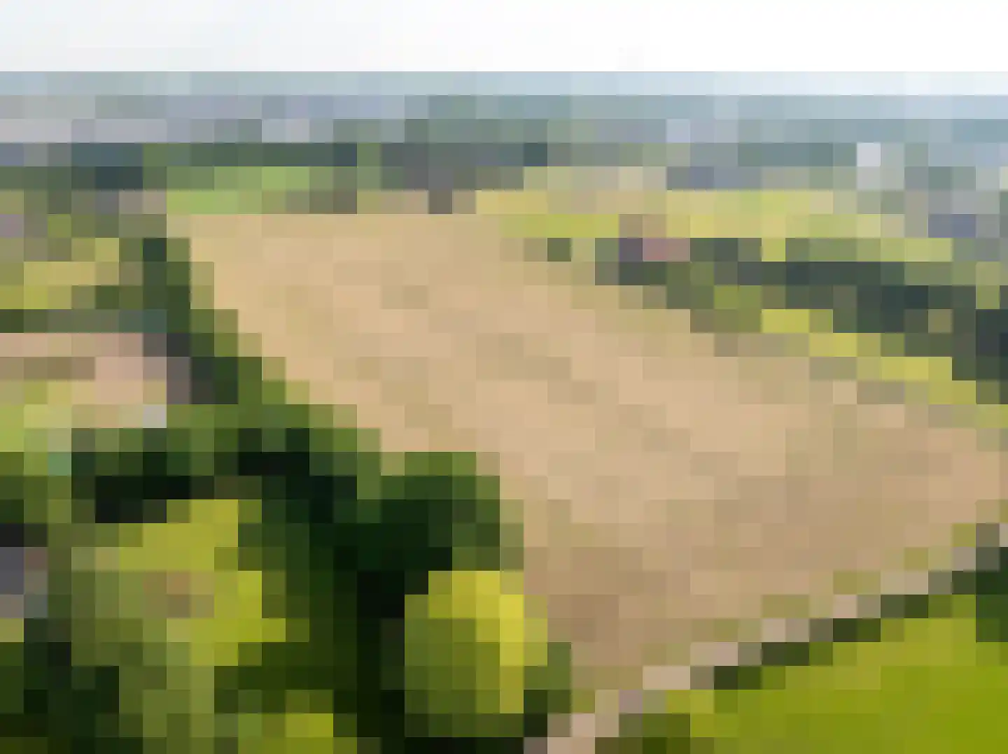 Koolbergseweg 1 Wijchen thumbnail 35