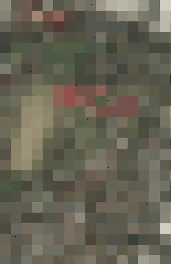 Koolbergseweg 1 Wijchen thumbnail 38