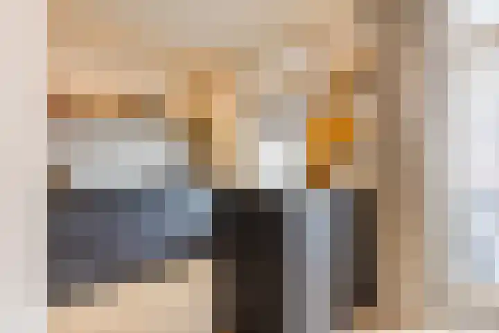 Koolbogt 60 Bladel thumbnail 10