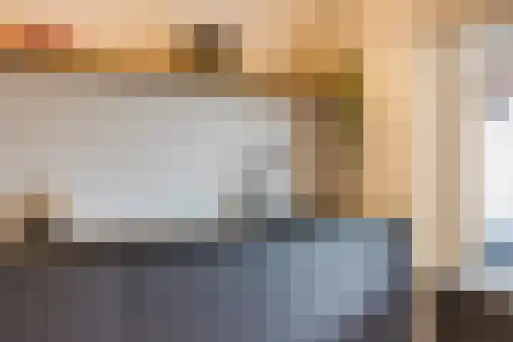 Koolbogt 60 Bladel thumbnail 12