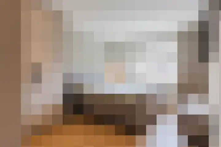 Koolbogt 60 Bladel thumbnail 13