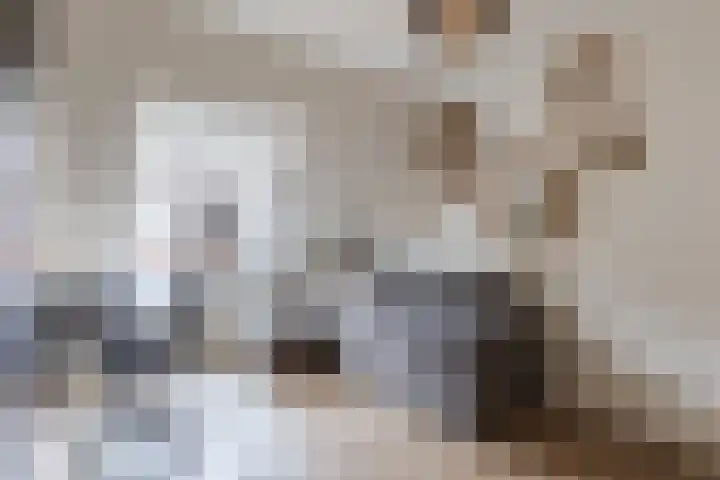 Koolbogt 60 Bladel thumbnail 15