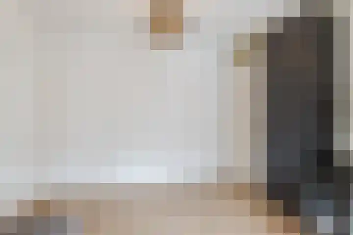 Koolbogt 60 Bladel thumbnail 16